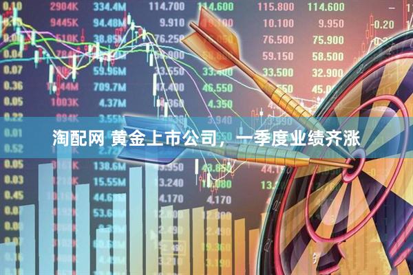 淘配网 黄金上市公司，一季度业绩齐涨