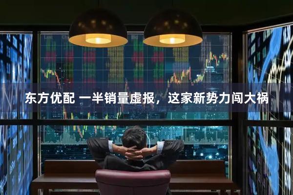 东方优配 一半销量虚报，这家新势力闯大祸