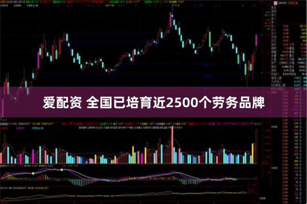 爱配资 全国已培育近2500个劳务品牌