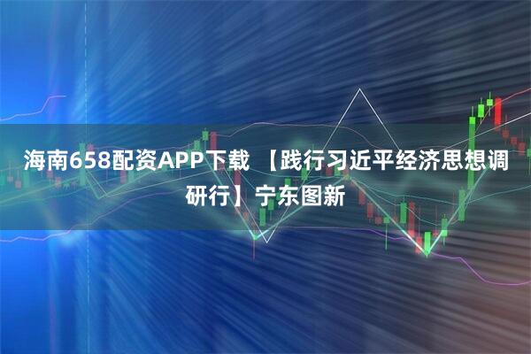 海南658配资APP下载 【践行习近平经济思想调研行】宁东图新