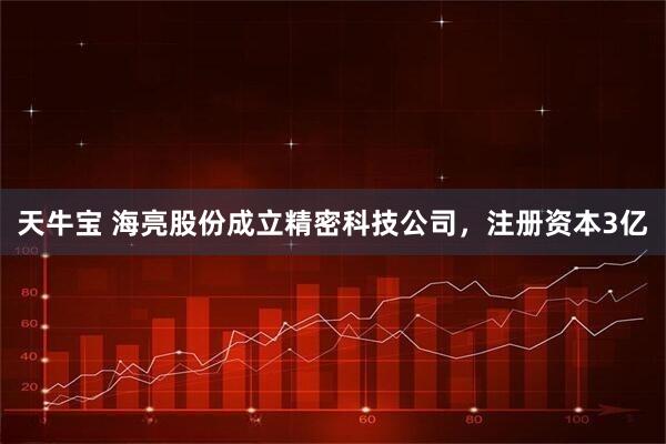 天牛宝 海亮股份成立精密科技公司，注册资本3亿