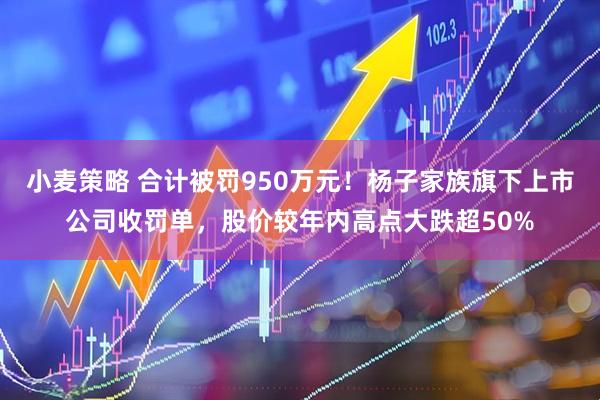 小麦策略 合计被罚950万元！杨子家族旗下上市公司收罚单，股价较年内高点大跌超50%